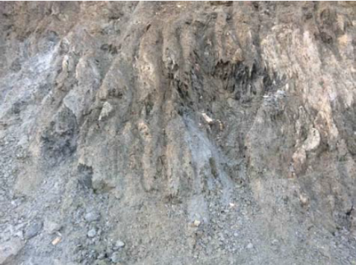 圖片3.png 圖片3.png