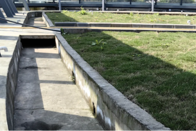 圖片9.png 圖片9.png