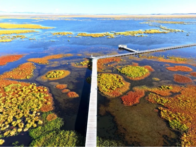 圖片4.png 圖片4.png